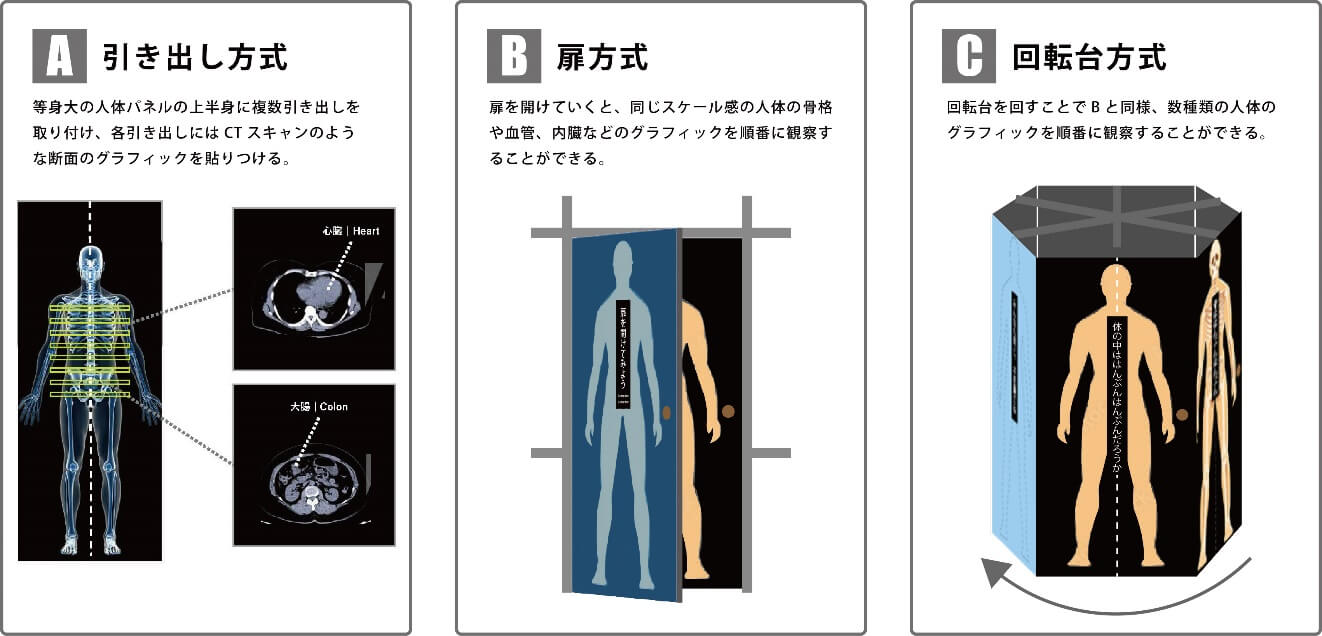 Patterns of specific exhibition fixture shapes